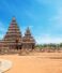 3 Reasons Principals Love Sending Students to Auroville with Le Frehindi